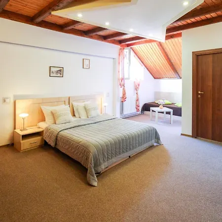 Roberto 3* Sinaia